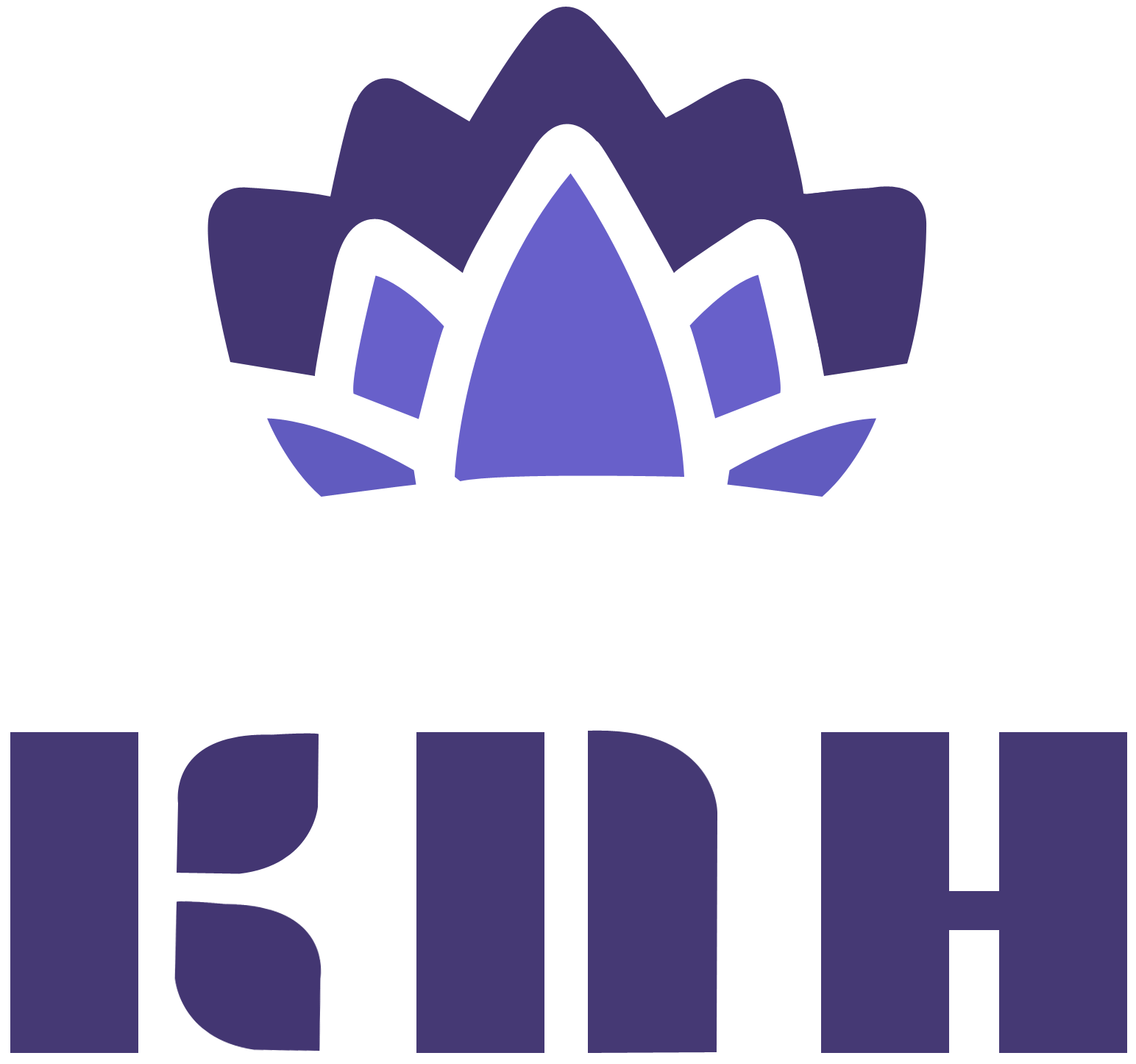 KNH Information Technology LLC